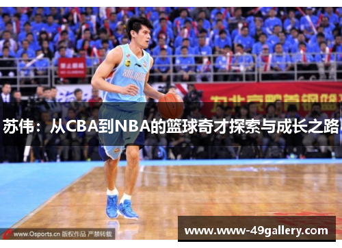 苏伟：从CBA到NBA的篮球奇才探索与成长之路