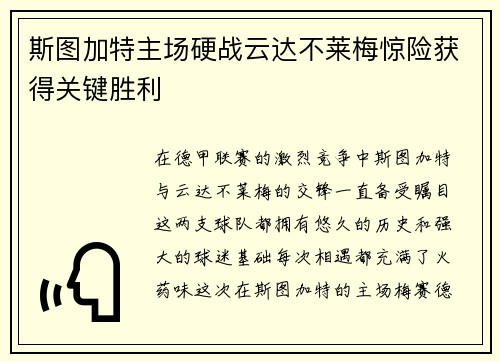 斯图加特主场硬战云达不莱梅惊险获得关键胜利